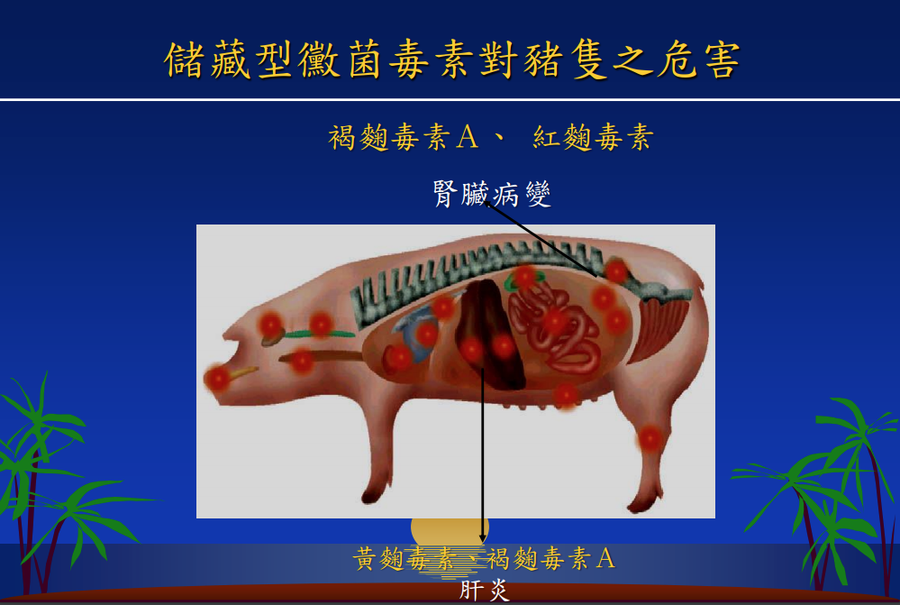 黴菌毒素對豬的危害